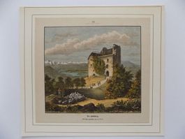 Habsburg Ruine vom Schloss