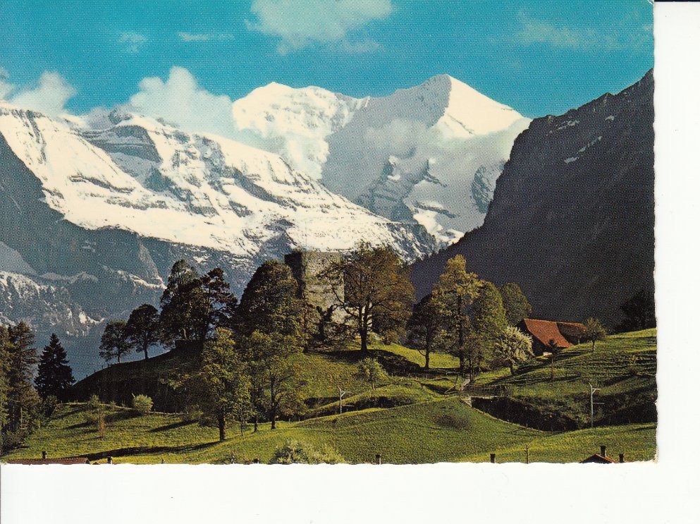 Cartoline postali: Frutigen Tellenburg 1984 – Usato da Bürglen TG venduto da StampGraf