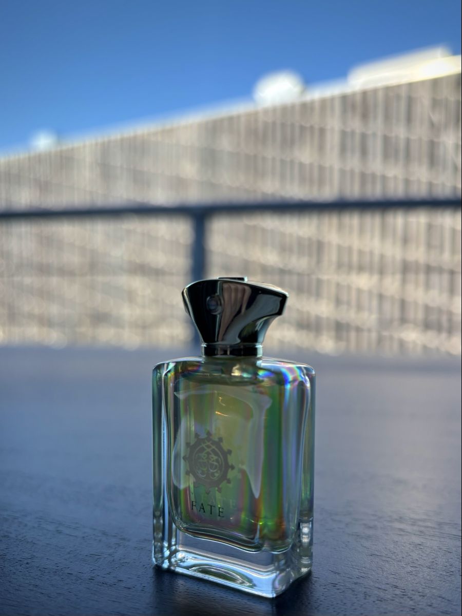 Amouage Parfum & Eau de Toilette: Amouage Fate Man – Gebraucht aus Bern von joelg90