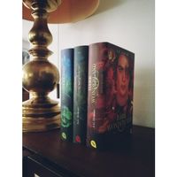 Dark Wonderland Triologie von A. G. Howard