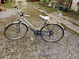 Condor Velo mit Korb (119)