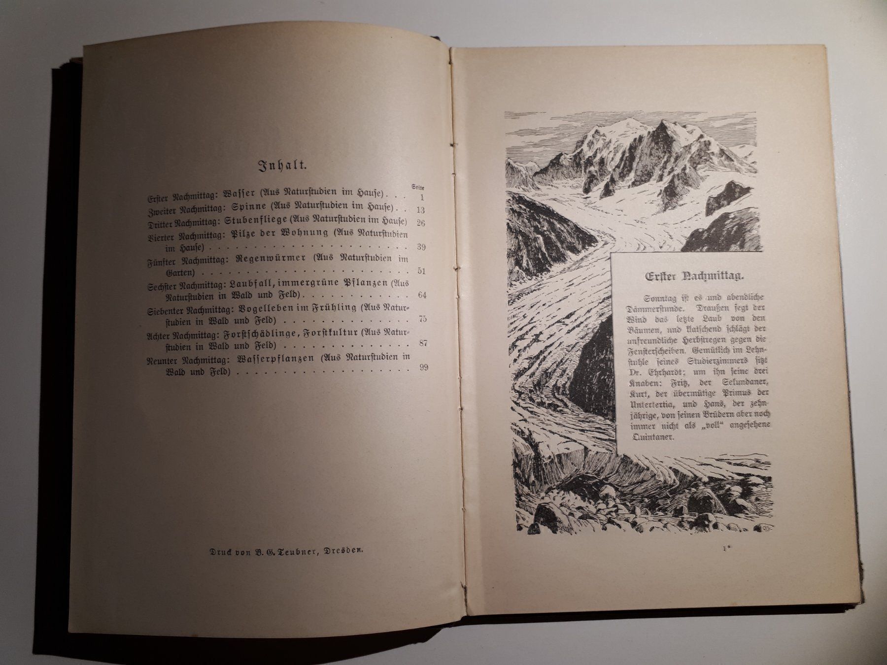 Libri: Kraepelin: Naturstudien – Usato da Dietikon venduto da Buchantiqdietikon 2