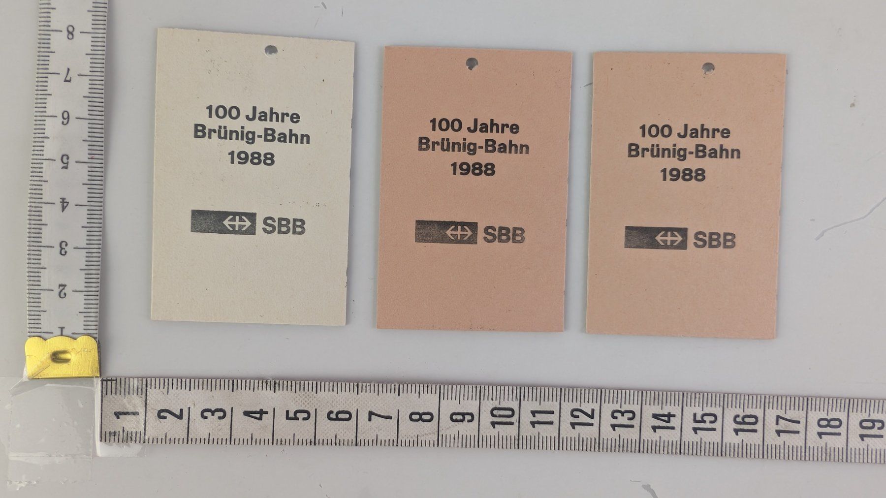 Biglietti: 3x Ballenberg Dampfbahn & Brünig-Bahn Tickets, SBB, 1988 – Difettoso da Zürich venduto da axolottchen 1
