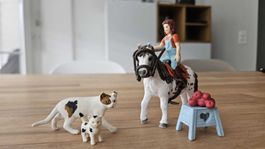 Schleichpferd mit Zubehör