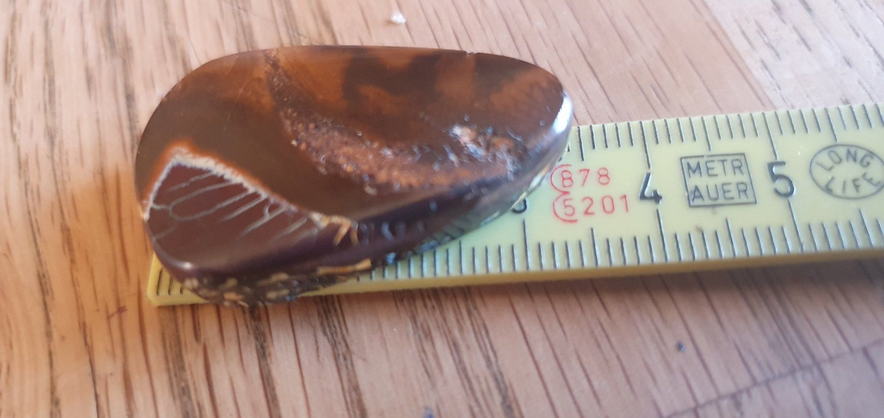 Pietre preziose: Boulder Opal – Usato da Flawil venduto da Pinkmalibu 5