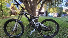 Downhill Bike Scott Gambler