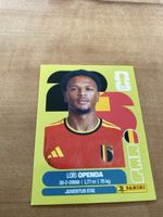 Panini Bel 19