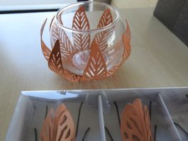 DEKO "Insekt" 6 Stück und 2 passende Windlichter - NEU