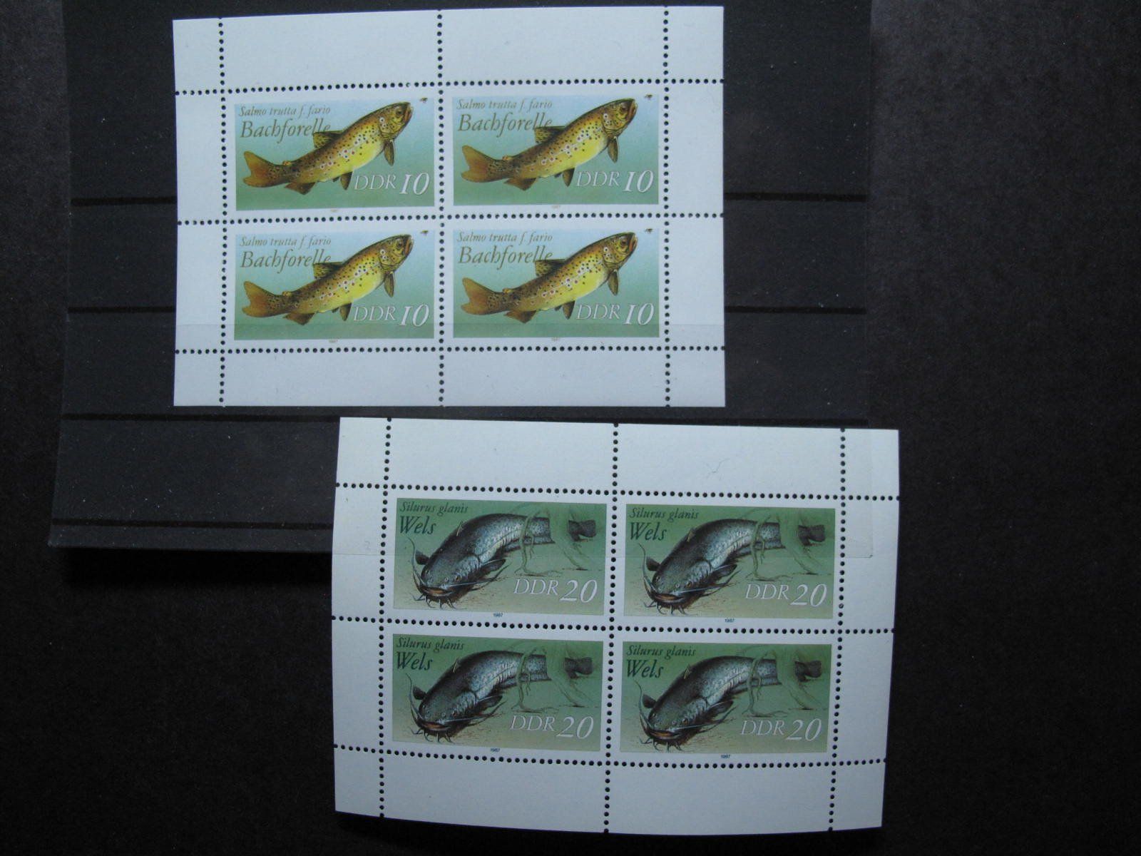 Alle Briefmarken: DDR 1987 Süsswasserfische KB 1 + 2 ** – Gebraucht aus Wil SG von fva01