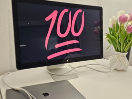 Apple Thunderbolt Display 27" – QHD – Top Zustand