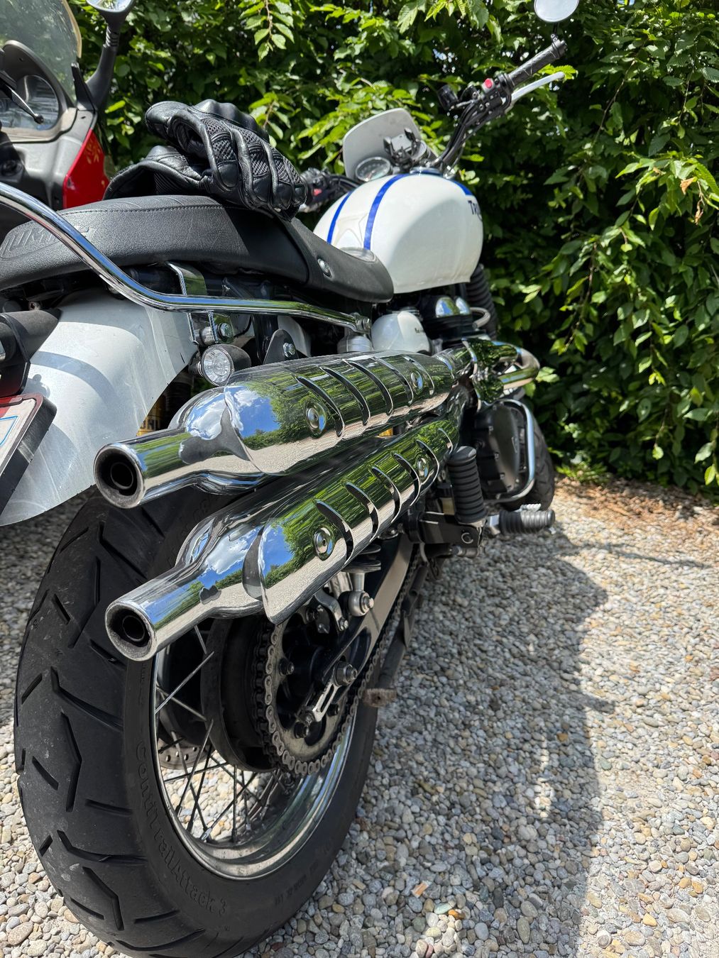 Triumph Strasse: Triumph Scrambler 900 – Gebraucht aus Zürich von libing 9