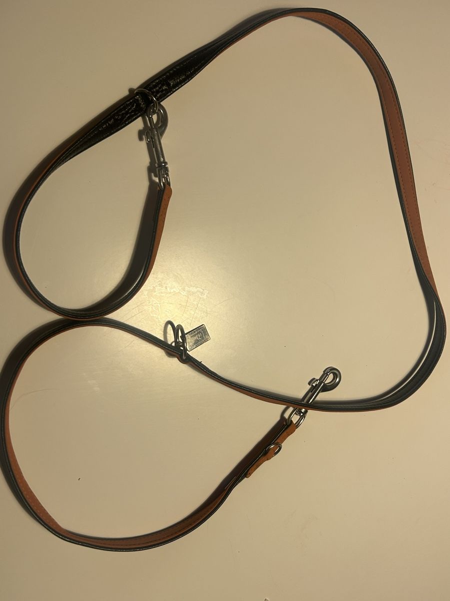 Guinzagli & Collari: Laisse/collier pour chien HUNTER cuir  – Nuovo (secondo la descrizione) da St-Prex venduto da mar_f6t6 1