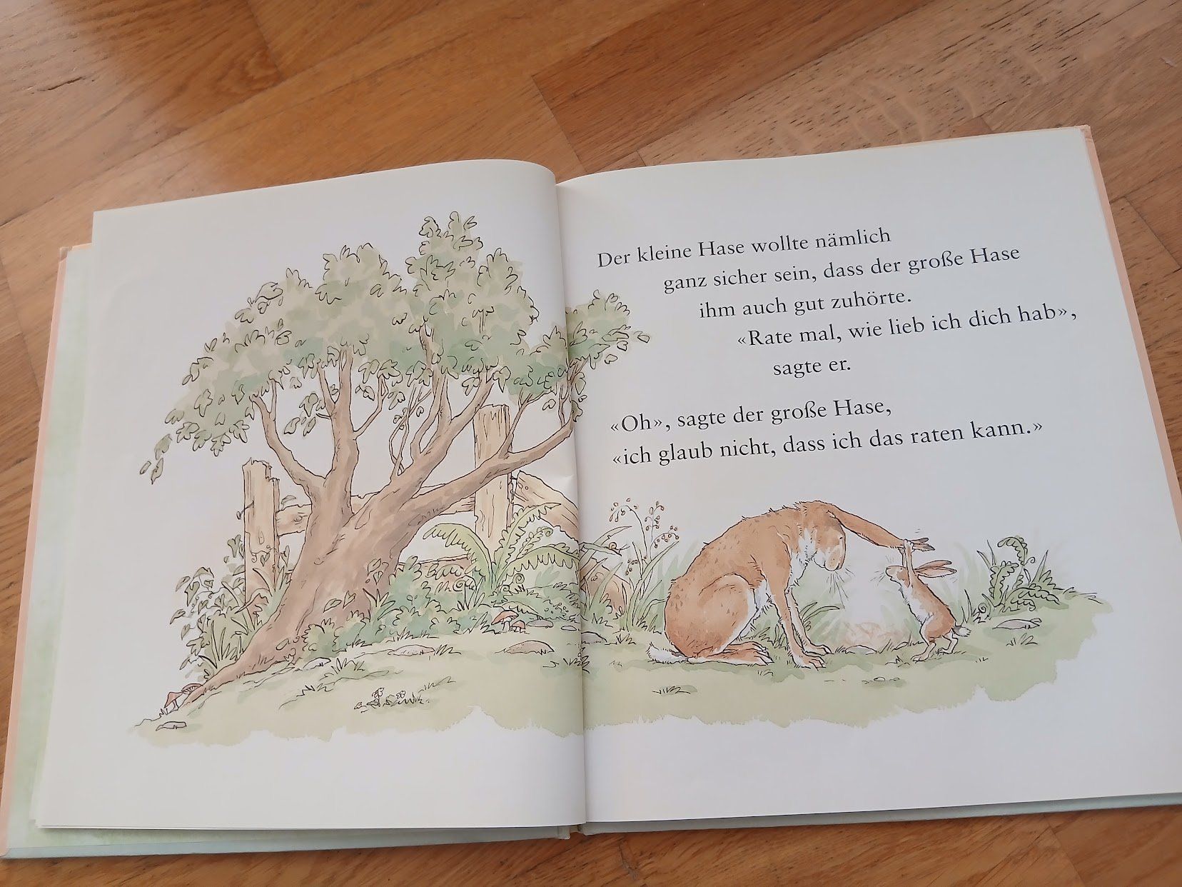 Bücher: Weisst du eigentlich, wie lieb ich dich hab? – Gebraucht aus Dübendorf von Fip05 4