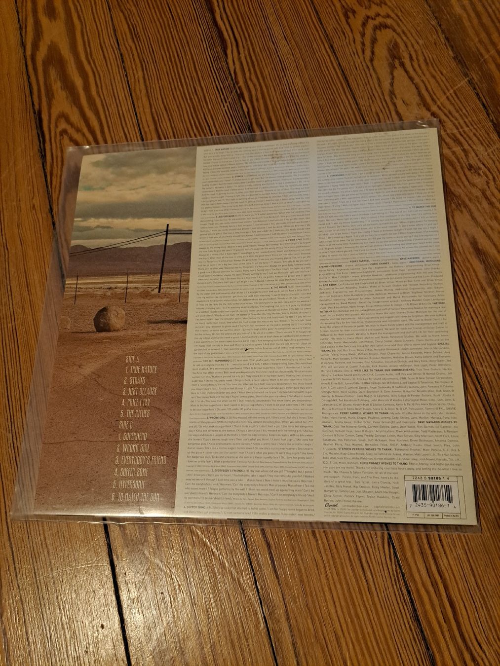 Dischi in vinile: Jane's Addiction, Strays 1LP – Usato da Genève venduto da Marci-Mcfly 1