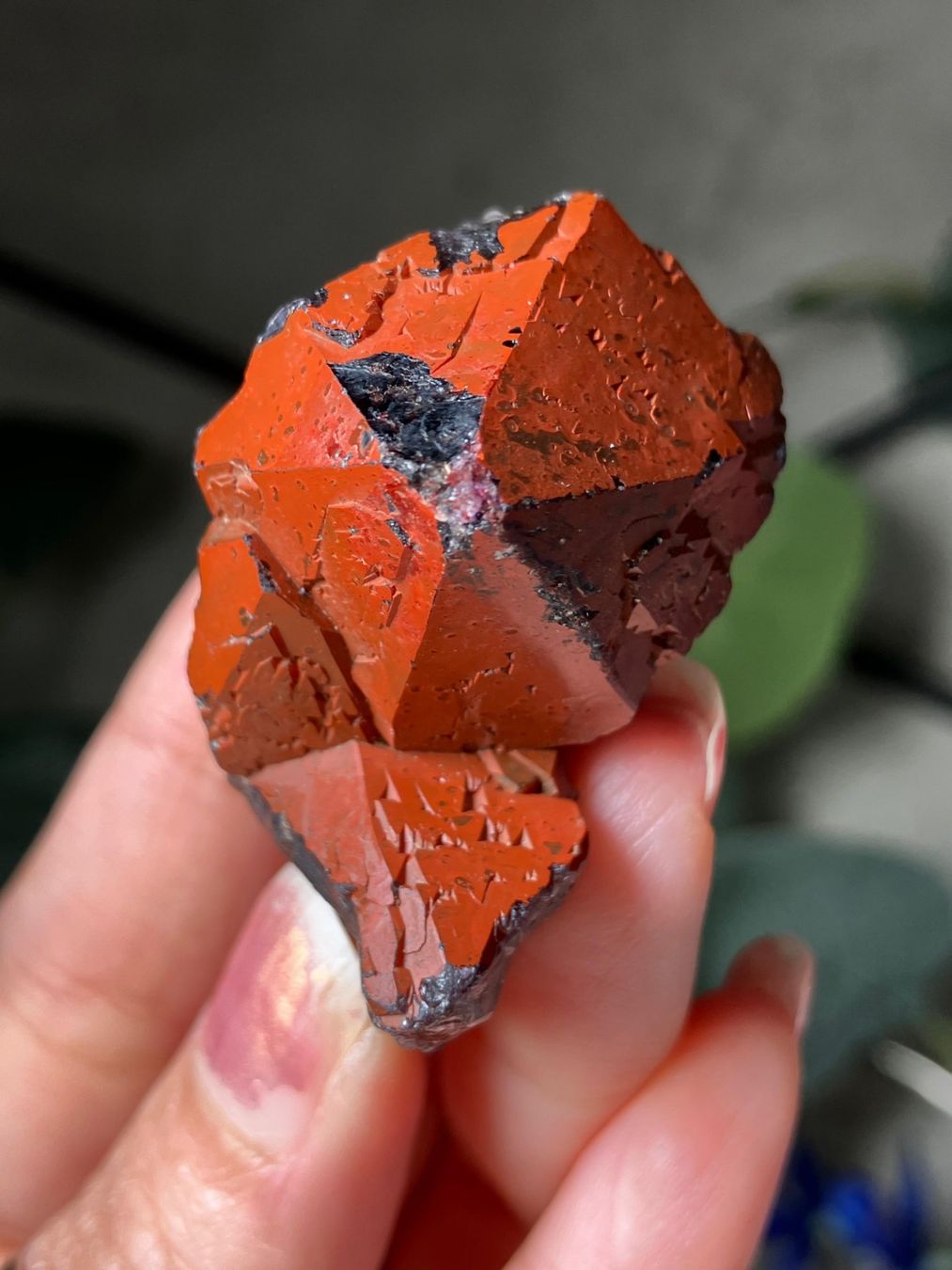 Edelsteine: Thunder Bay Amethyst – Neu (gemäss Beschreibung) aus Neuheim von m.hald 3