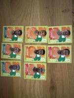 Panini