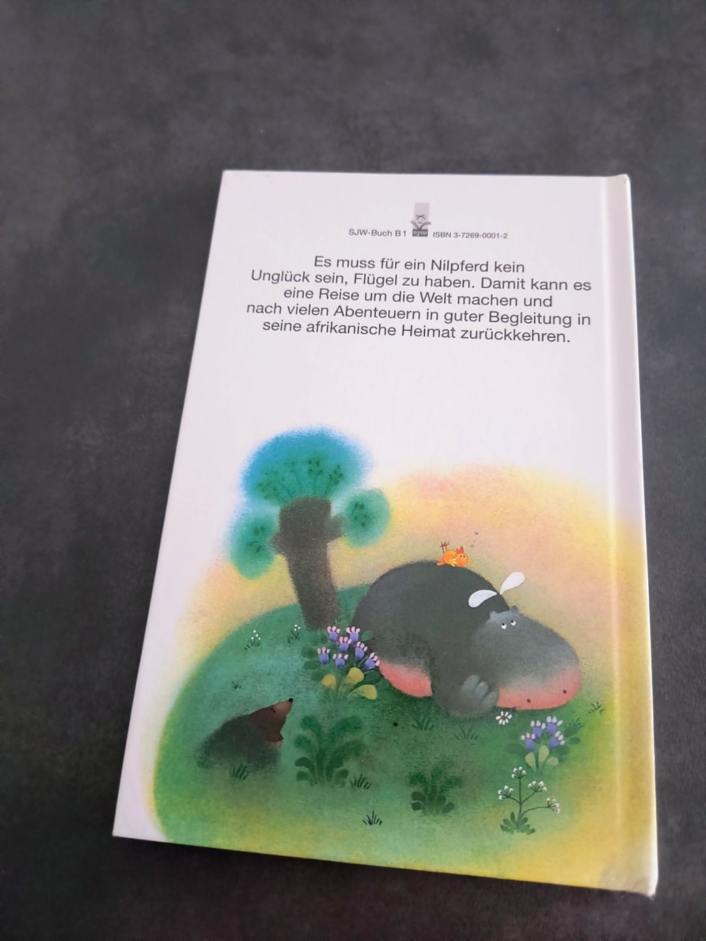 Libri: Das fliegende Nilpferd Guy Counhaye Kinderbuch gebraucht – Usato da Schöfflisdorf venduto da KKB-Team1 3