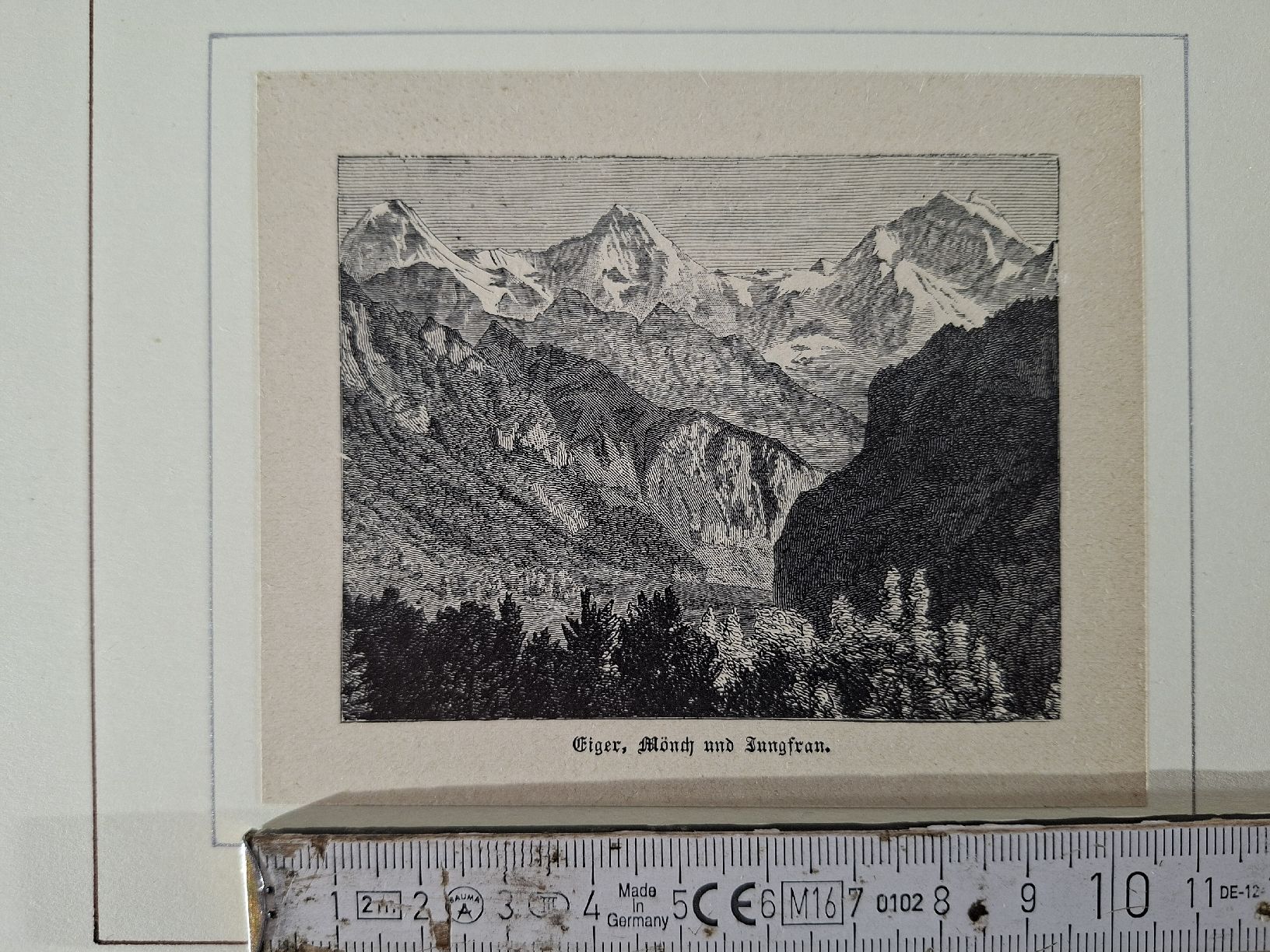 Incisioni: Lot 67, 10 Stiche  – Usato da Grindelwald venduto da carro5 1