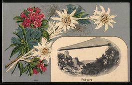 Fribourg, Teilansicht vom Ort mit Hämng