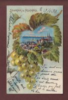 Souvenir de NEUCHÂTEL - Raisin - 1899