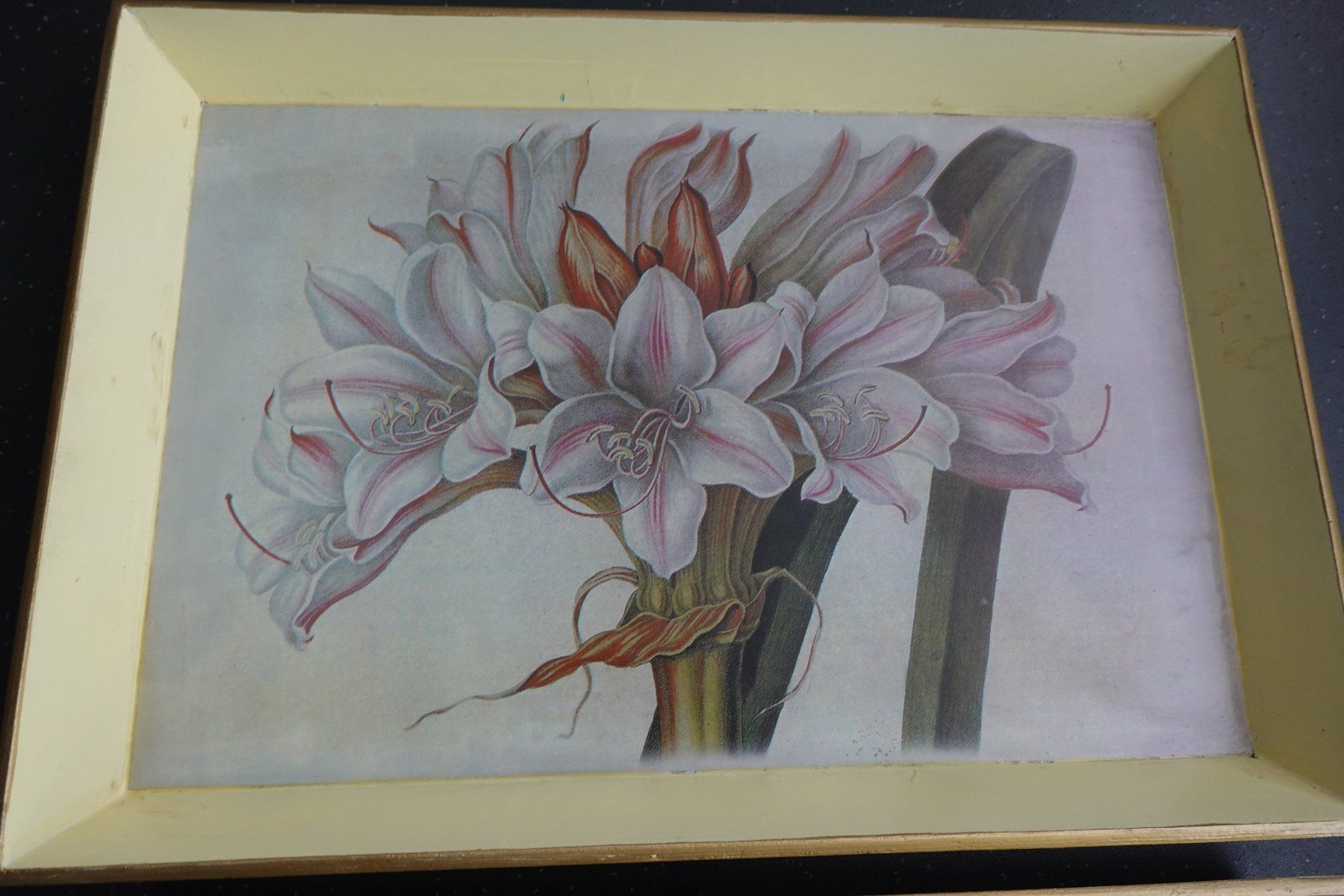 Servierplatten: 2x Tablett Serviertablett mit Blume Amaryllis NEU – Neu (gemäss Beschreibung) aus Jona von simongarden 1