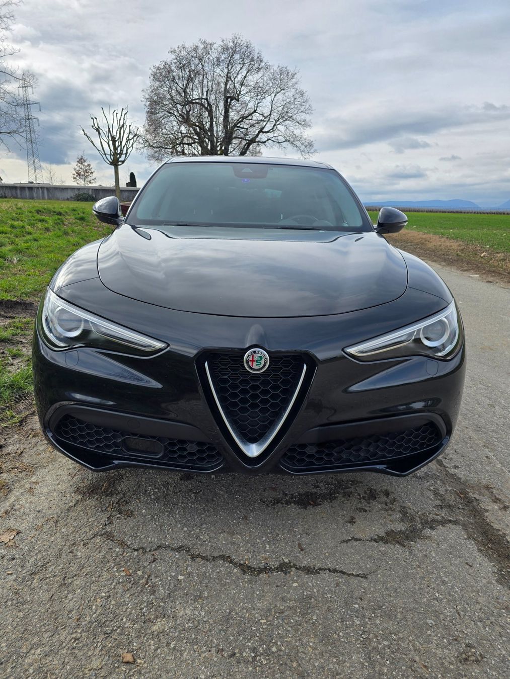Alfa Romeo Automobili: Magnifique Stelvio – Usato da Thônex venduto da max_fc7r