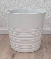 Pflanze. Übertopf D=22 (weiss)
