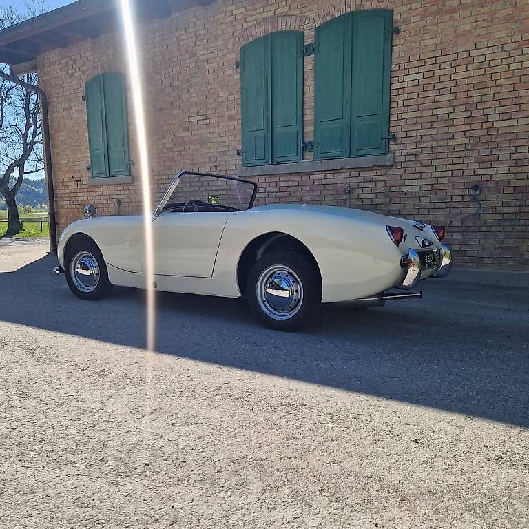 Automobili: Top Restaurierter Healey – Usato da Dussnang venduto da sokrates321 3