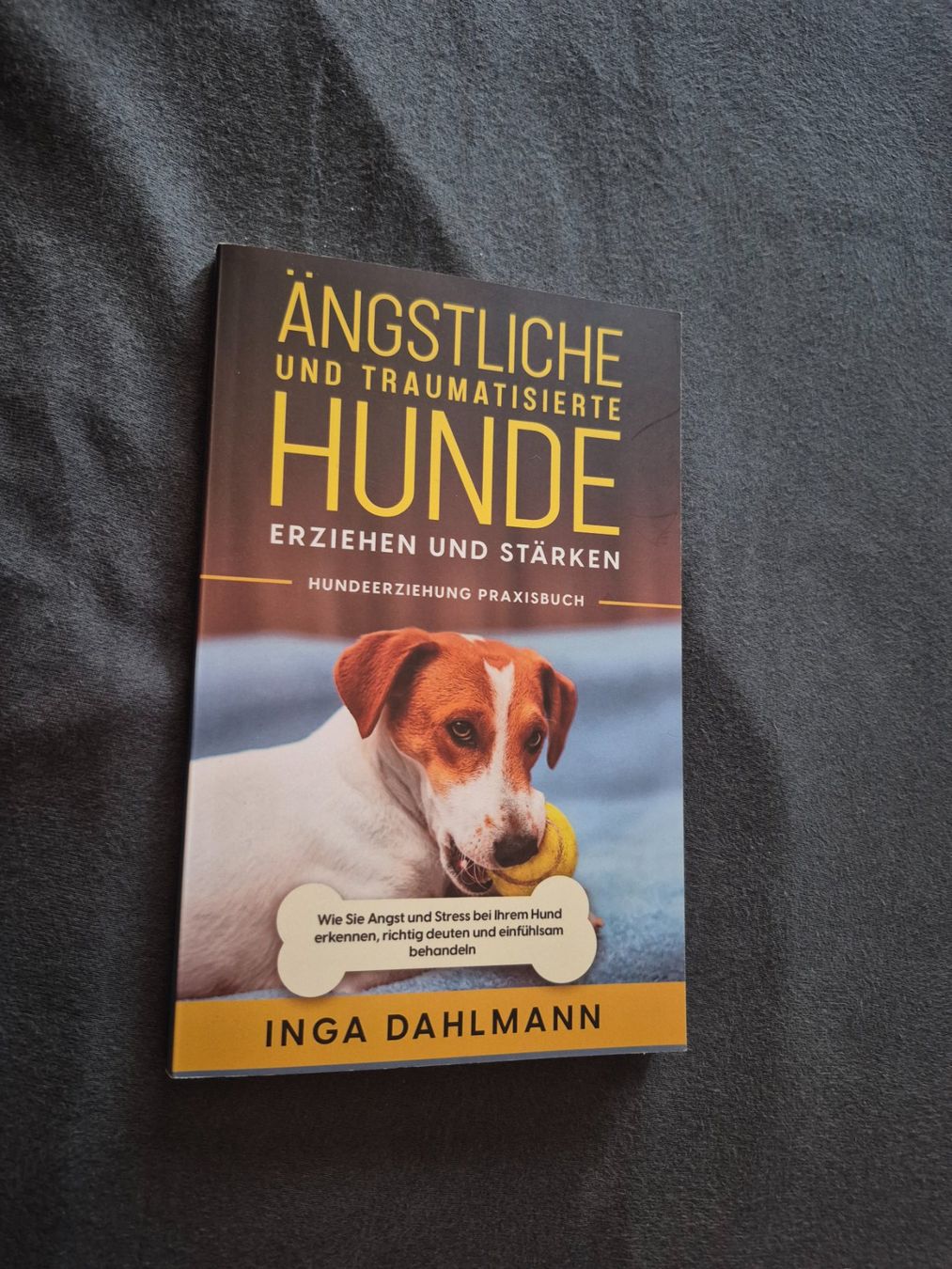 Libri: ängstliche und traumatisierte Hunde – Usato da Wettingen venduto da rue_27mw