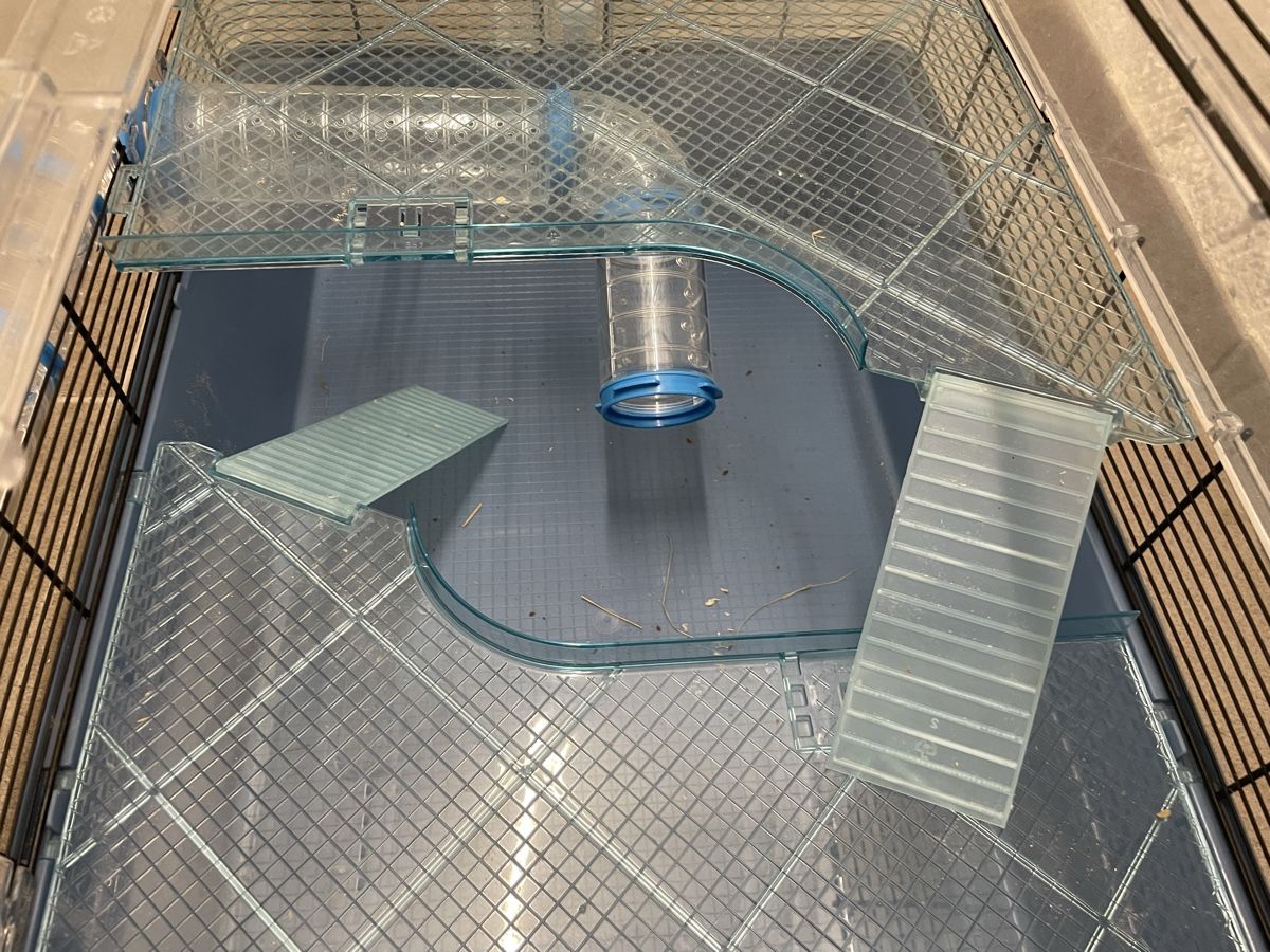 Ferplast Käfige, Transport & Sicherheit: Hamsterkäfig mit Zubehör, gebraucht  – Gebraucht aus Winterthur von rosen17 4