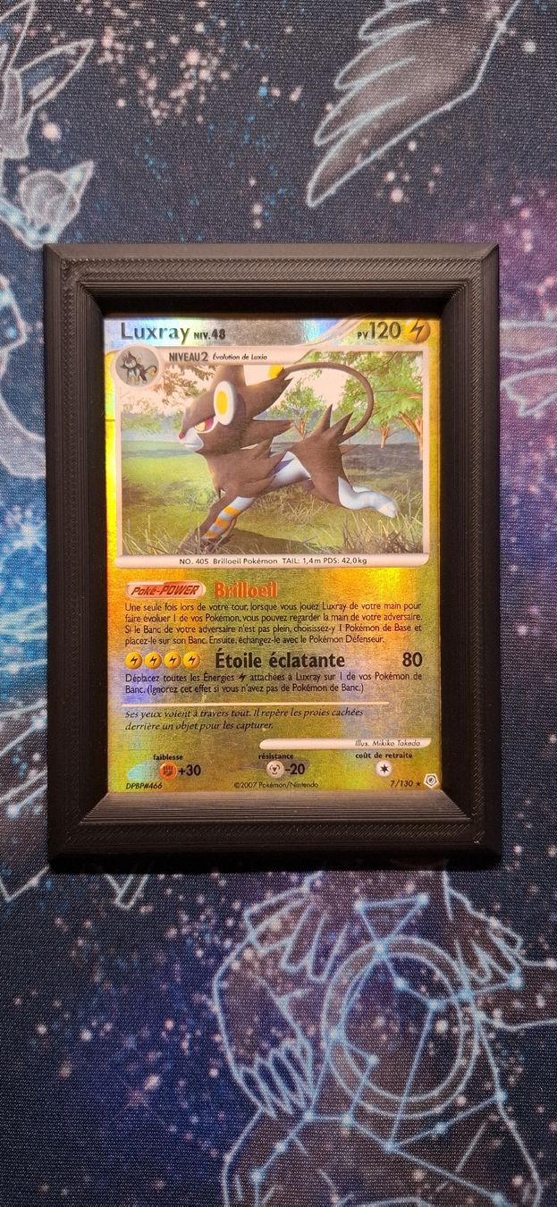 Pokémon Carte collezionabili: Luxray DPBP 466 - Diamant et Perle FR – Usato da Petit-Lancy venduto da Kara_TCG