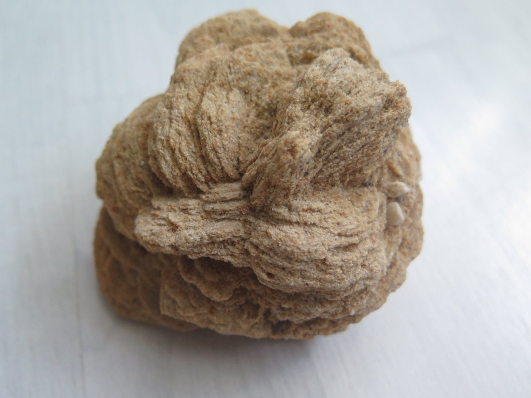 Minéraux & Lithothérapie: Barytrose 466 gr. von Rockenberg – D'occasion à Schaffhausen par Yamakana51L8736OQ8