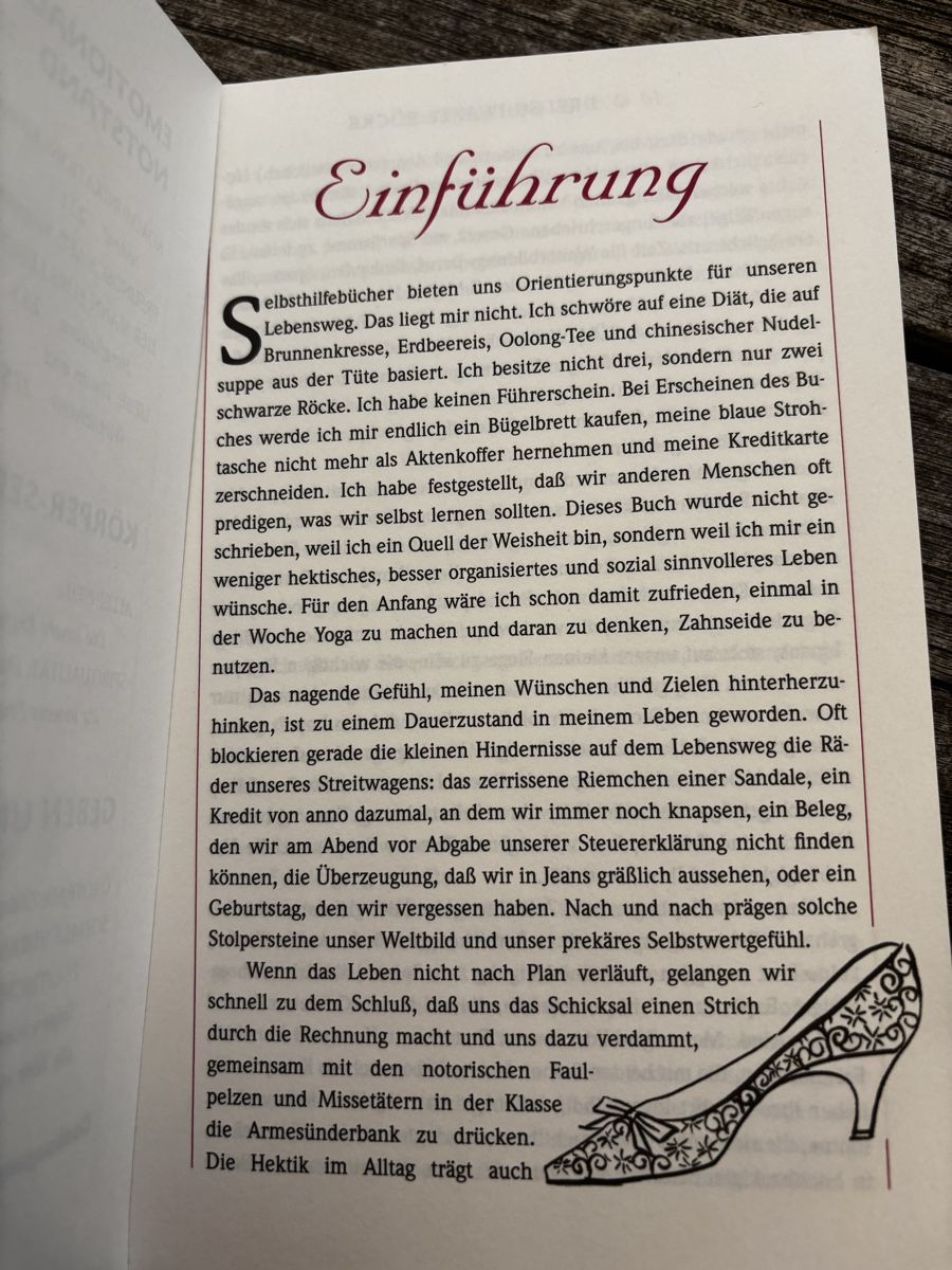 Libri: Anna Johnson - Drei schwarze Röcke - Basic Living 📖 – Usato da Hinteregg venduto da Natsuki13 5