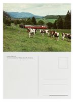 Six-Fontaines Valeyres Baulmes Yverdon Bahn YSteC Be 4/4 Bt