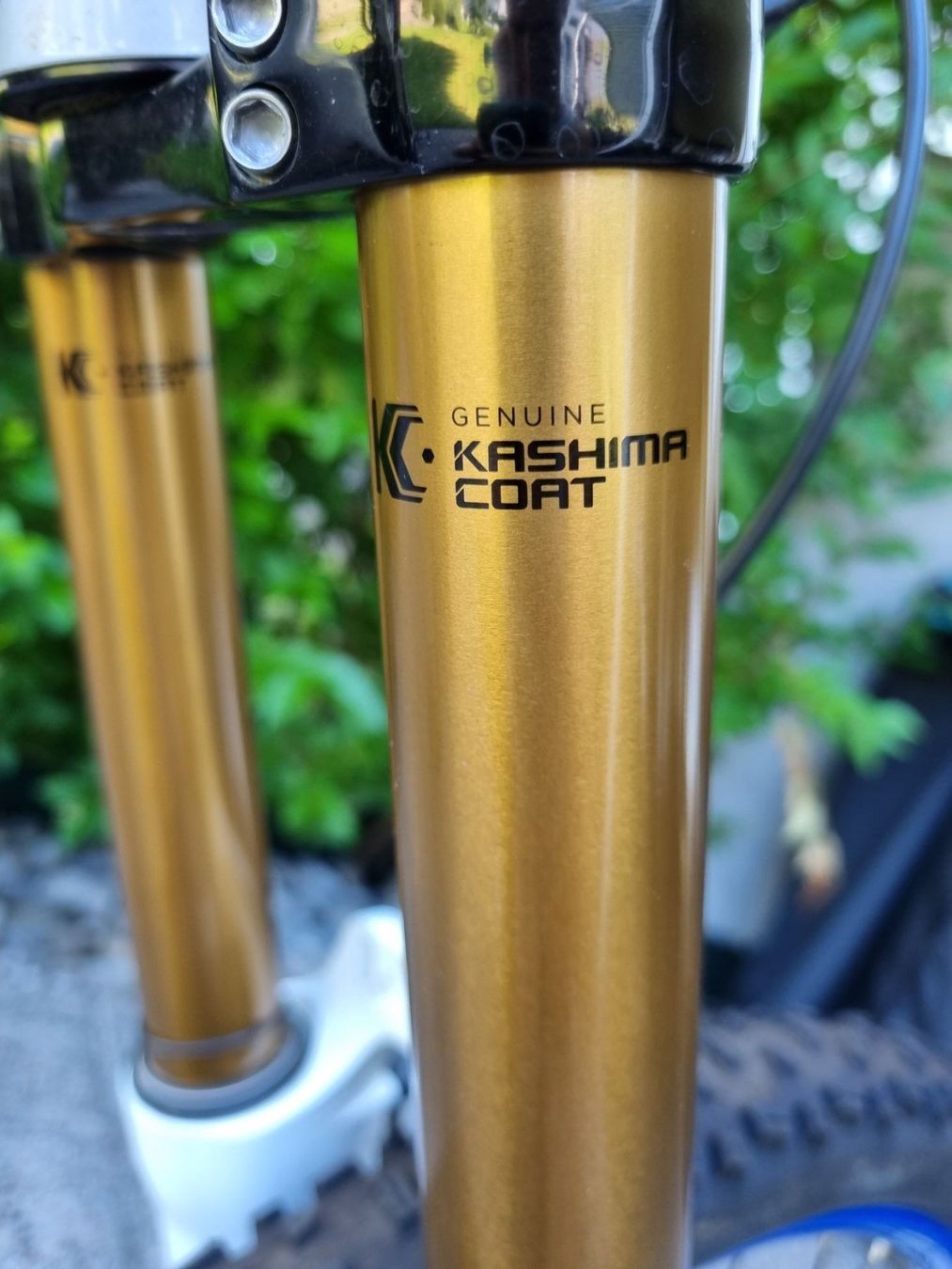 Ghost Biciclette: Downhill Bike Ghost – Usato da Bülach venduto da cf96 8