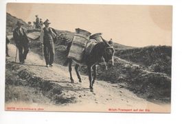 MILCH-TRANSPORT auf der ALP