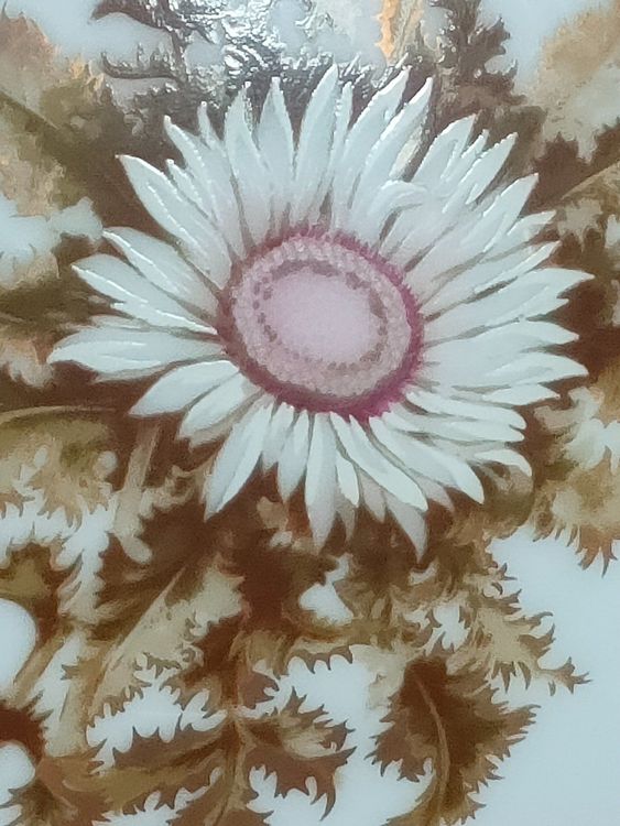 Vase Kaiser Silberdistel exklusiv um 1970 Kaufen auf Ricardo