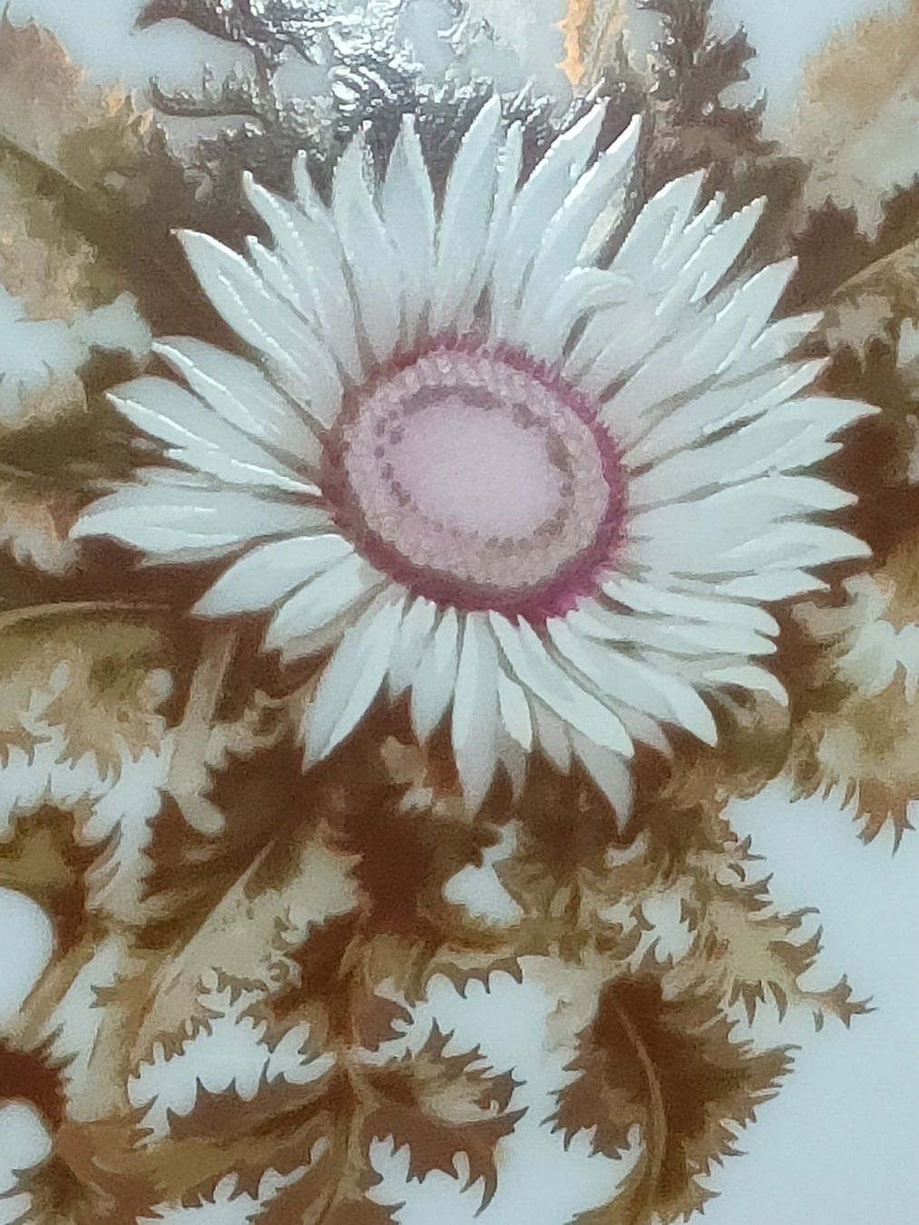 Kaiser Vasi & Recipienti: Vase Kaiser  Silberdistel exklusiv um 1970 – Nuovo (secondo la descrizione) da Brugg AG venduto da Mashaba 1