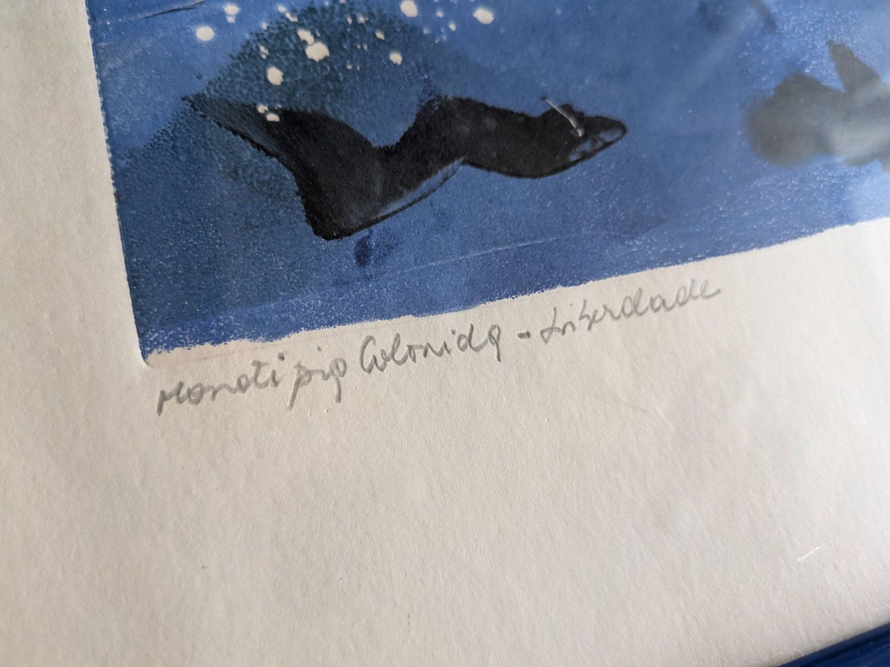 Grafica & Litografie: Monotypie – Usato da Emmen venduto da magelan 2