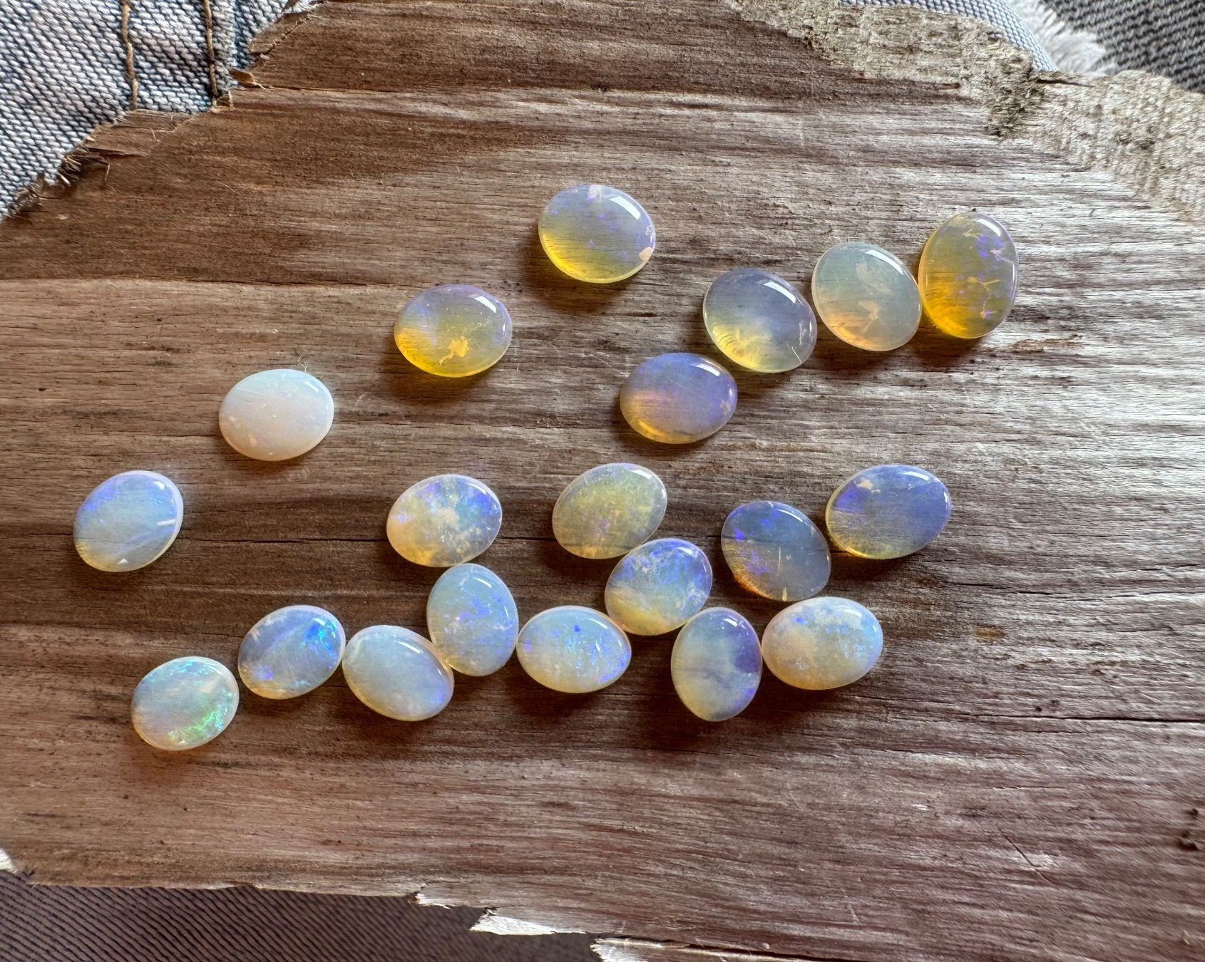 Fossili: 20 Stk  Cabochons Opal echt winzig neu   oval 7x9mm  solid – Nuovo e nell'imballaggio originale da Leuggern venduto da gemshow 3