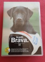 Avanti. Brava. Lehrfilm: Vom Welpen zum Blindenführhund/dvd