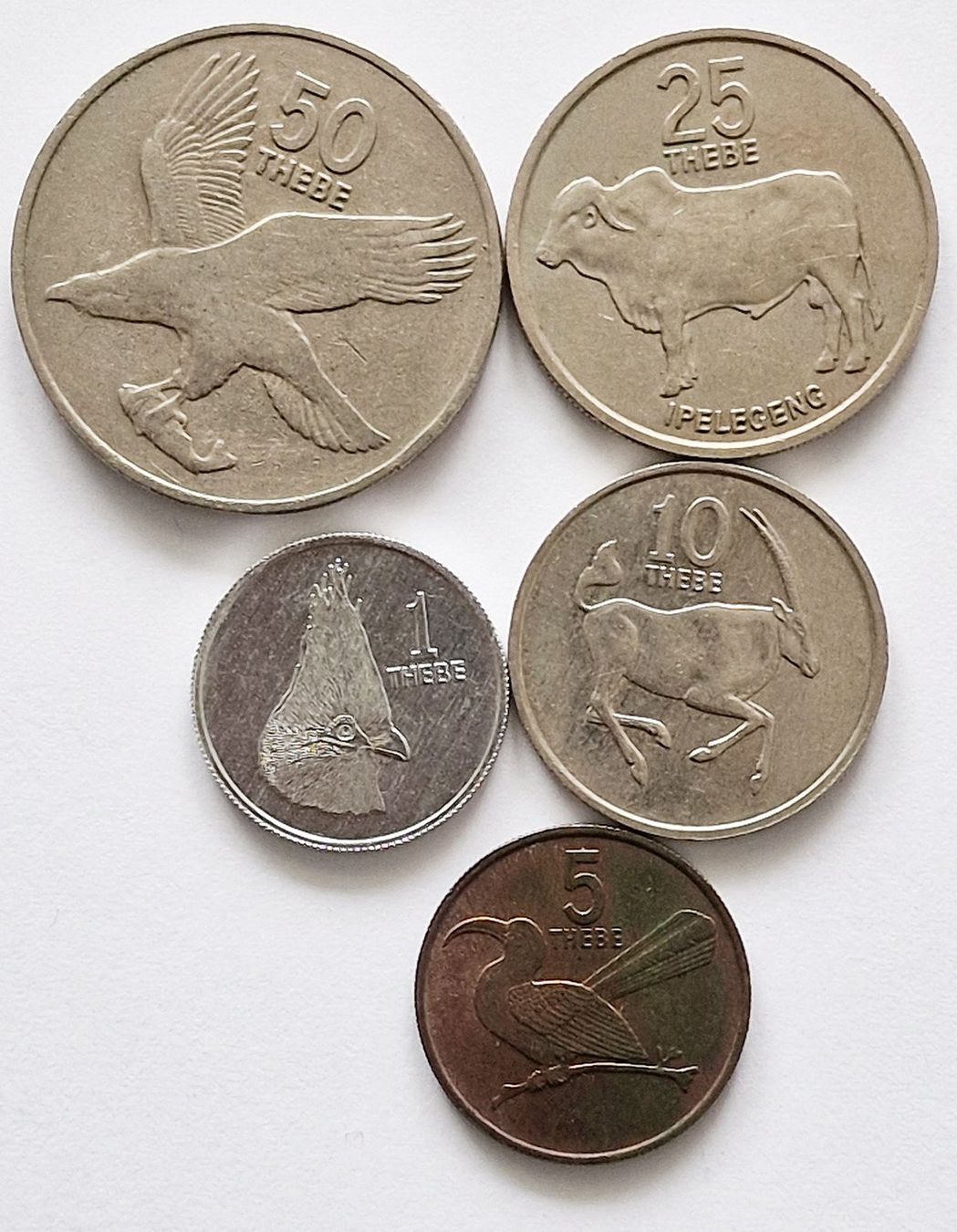 Toutes les monnaies: 5 x Botswana – D'occasion à Illnau par swisshippo 1
