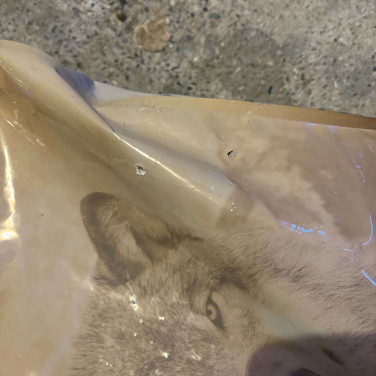 Mangimi: Hundefutter Wolfsblut – Nuovo (secondo la descrizione) da Langrickenbach venduto da jia_balla 1
