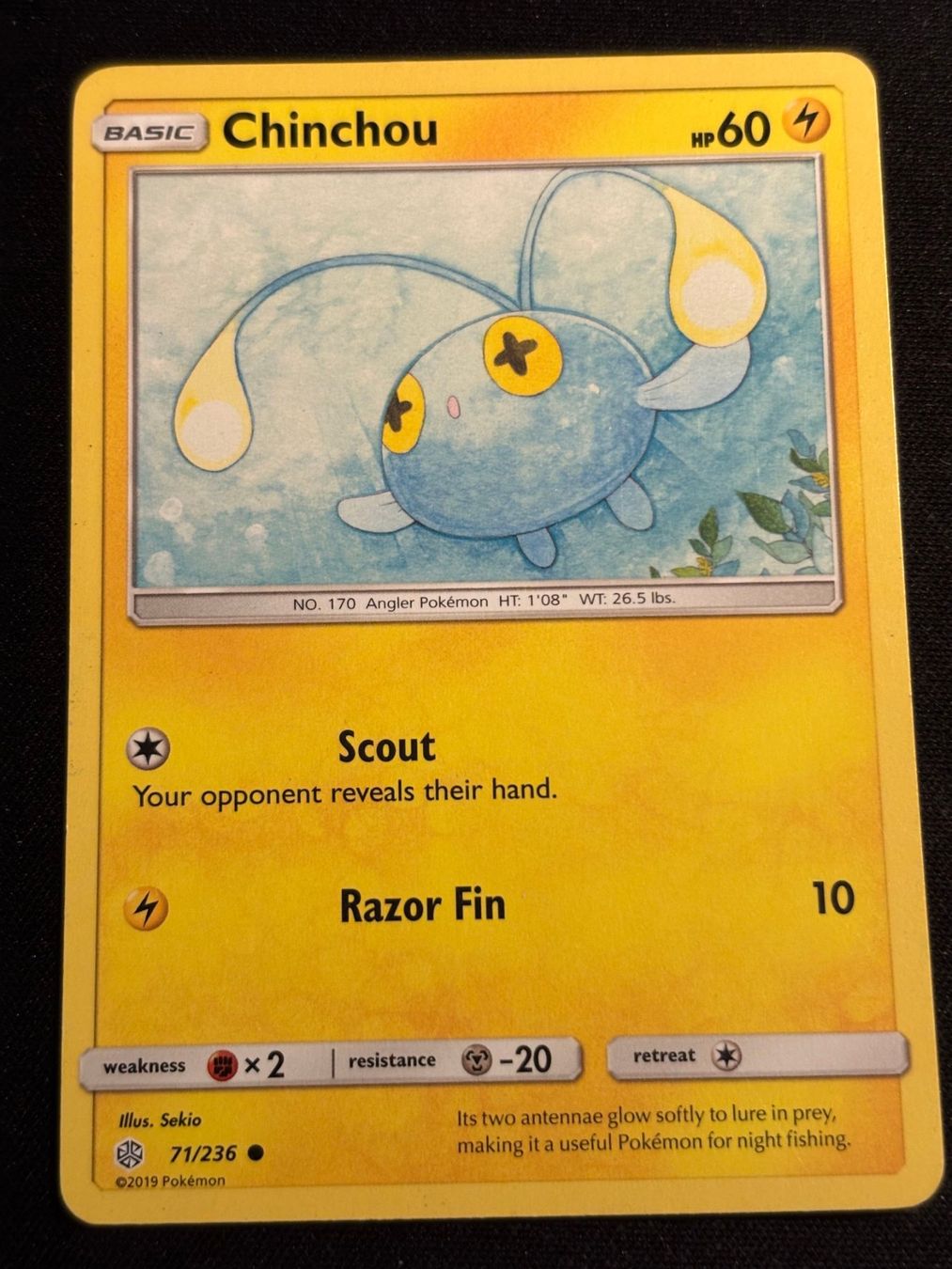 Pokémon Carte collezionabili: Pokemon Chinchou - Cosmic-Eclipse 71/236 - English – Usato da Bern venduto da Big_GS