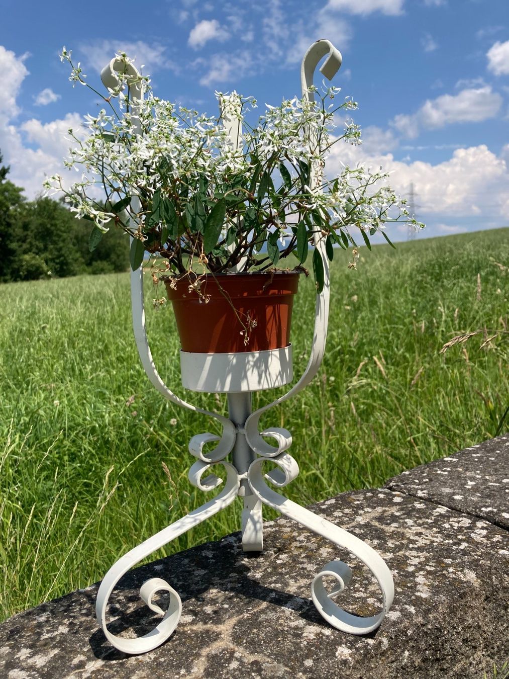 Sonstiges für Haushalt & Wohnen: Blumentopfhalter Blumenständer Metall – Gebraucht aus Subingen von Etageren