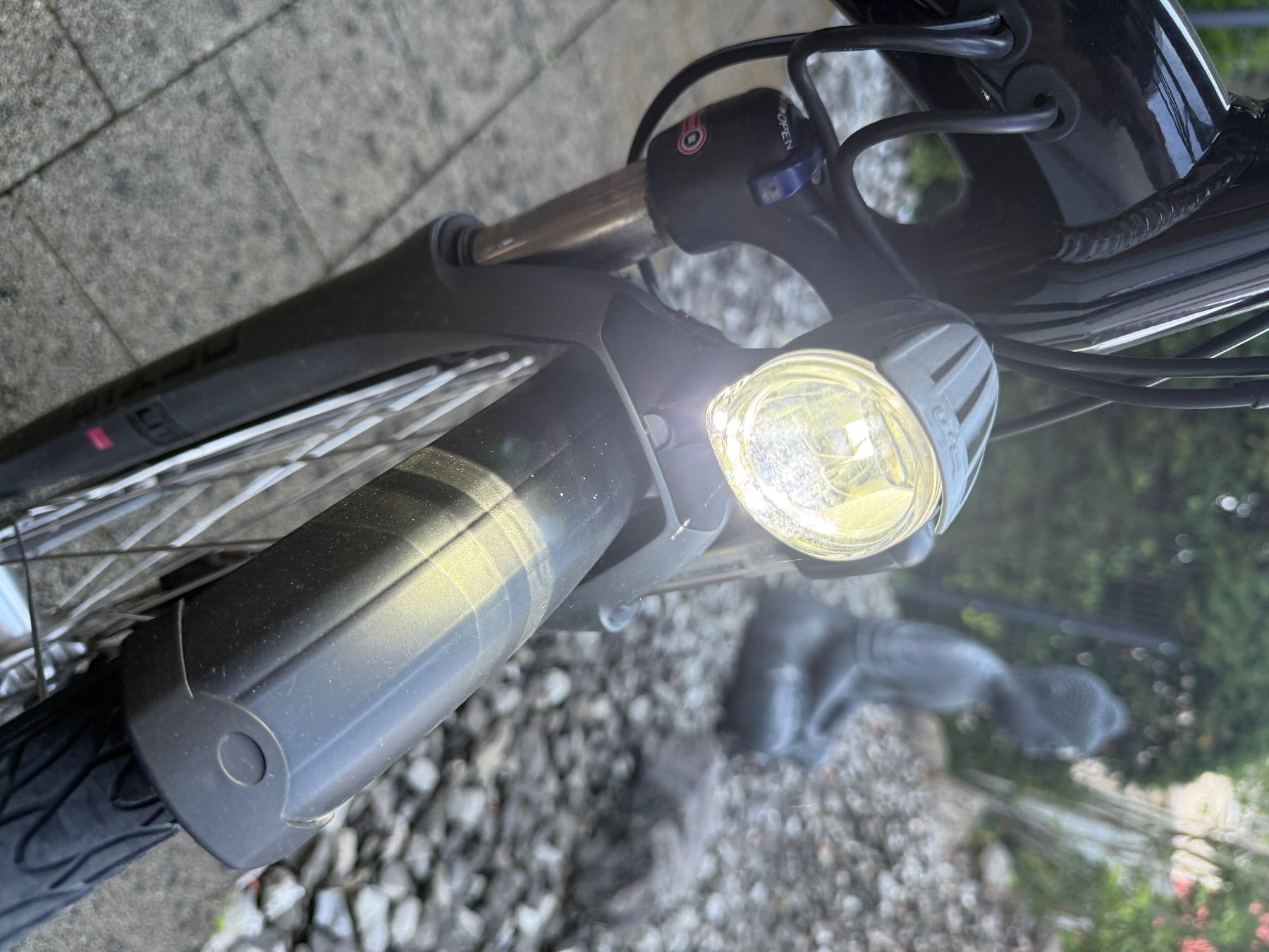 Flyer Vélos: Flyer Elektro Velo – Défectueux à Langenthal par lthal 9