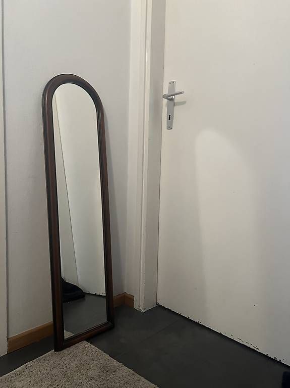 Specchi: Specchio ad arco – Usato da Minusio venduto da son_mrf5