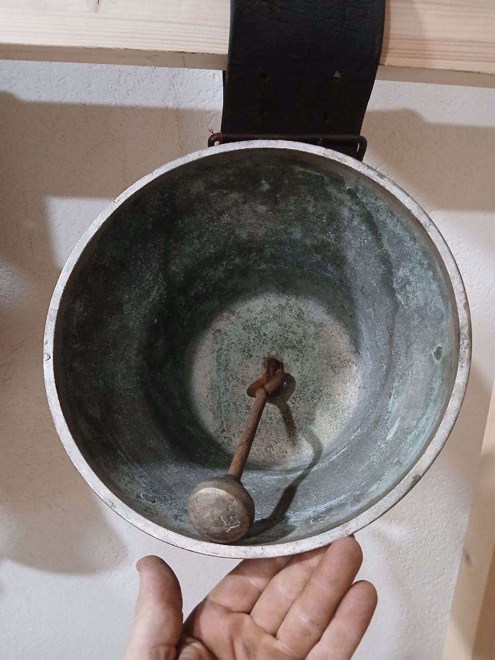 Campanacci mucche: Gasser Glocke – Usato da Eggiwil venduto da Jennisweid 4