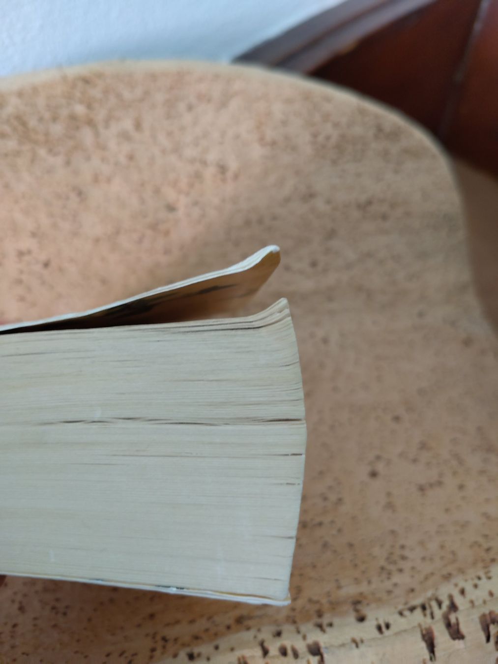 Libri: Der Medicus: Roman von Noah Gordon – Usato da Olten venduto da magneto 2