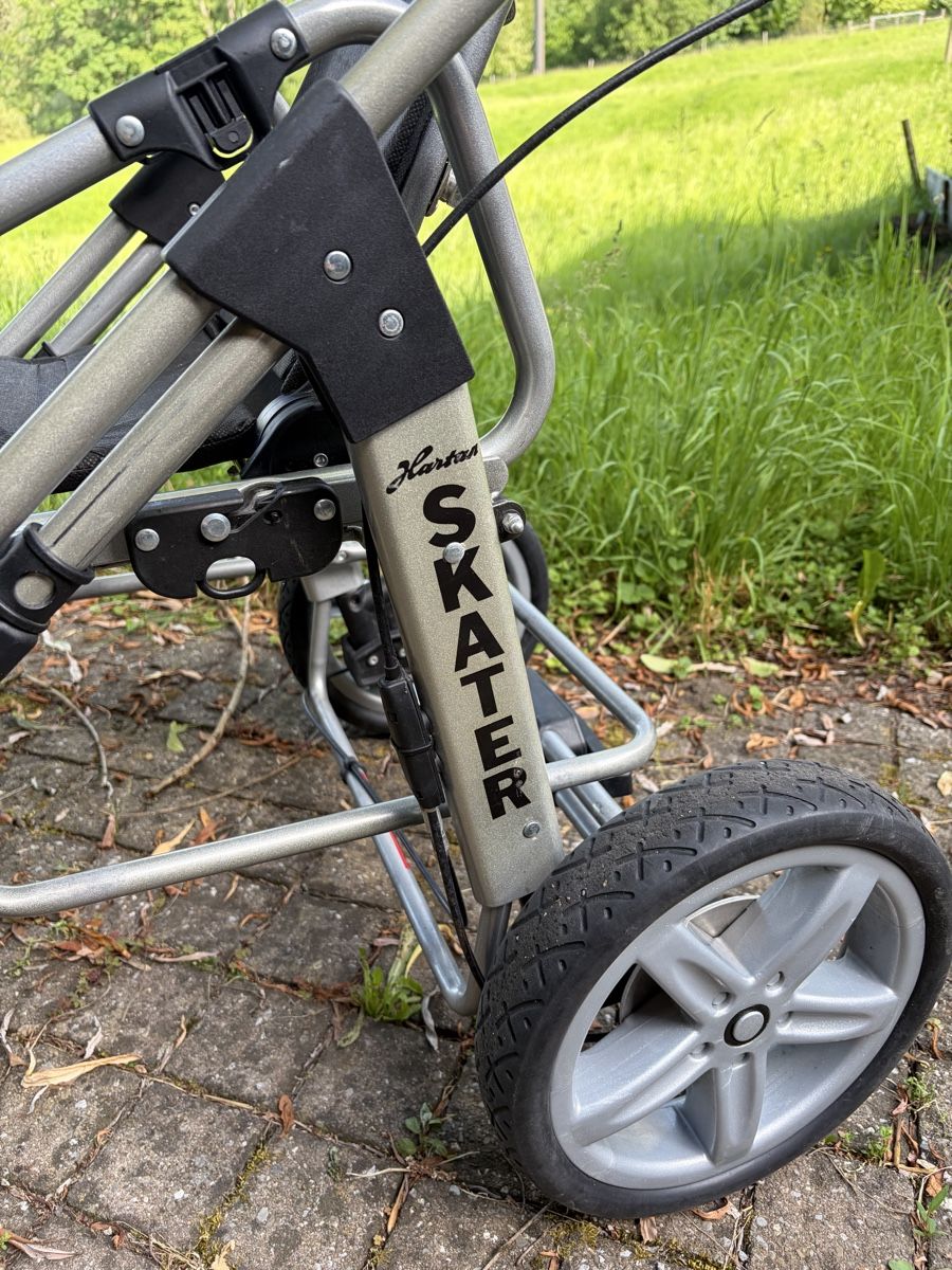 Hartan Carrozzine: Hartan Skater Kinderwagen – Usato da St. Gallen venduto da macauktion 1